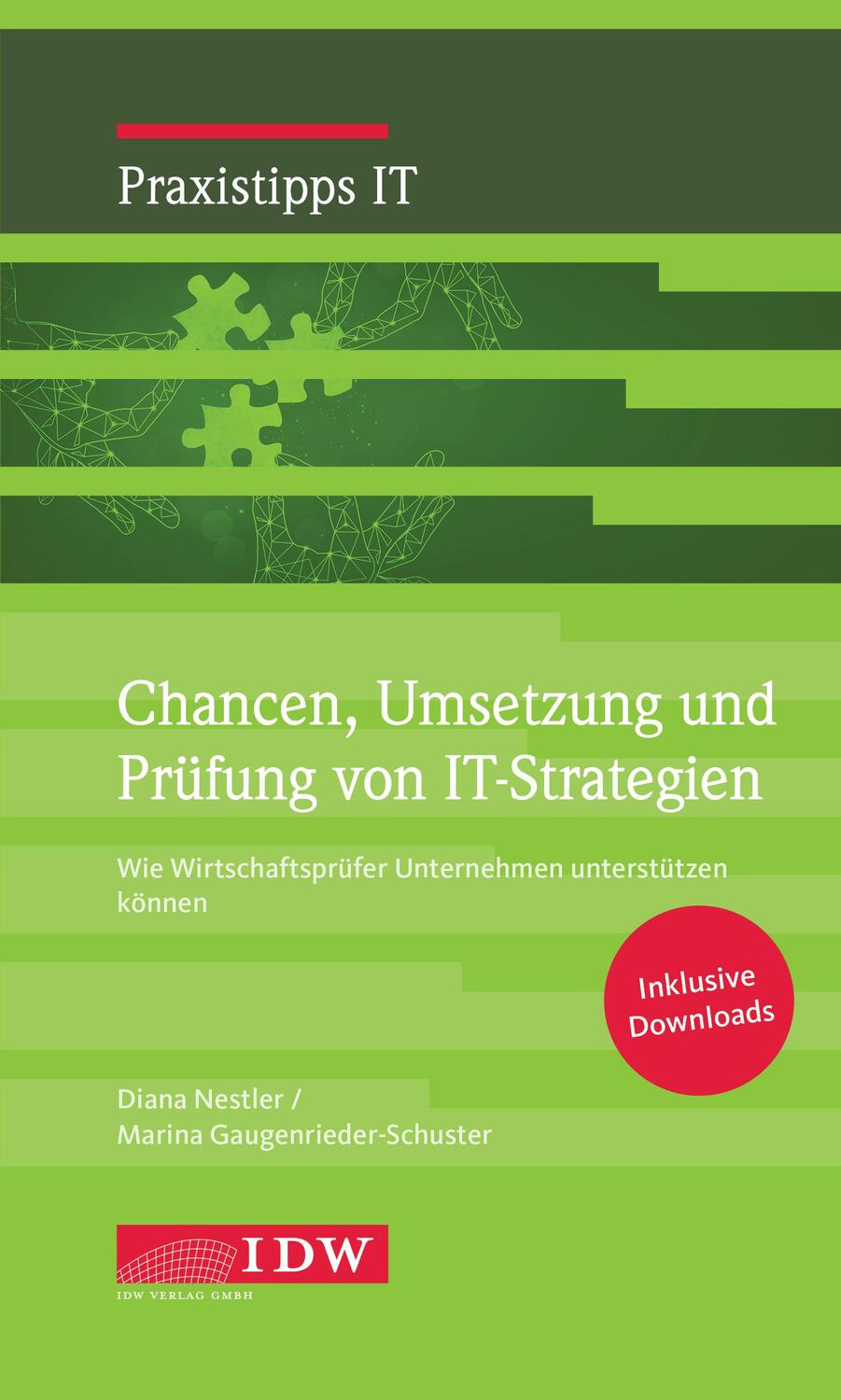 Cover: 9783802127595 | Chancen, Umsetzung und Prüfung von IT-Strategien | Nestler (u. a.)