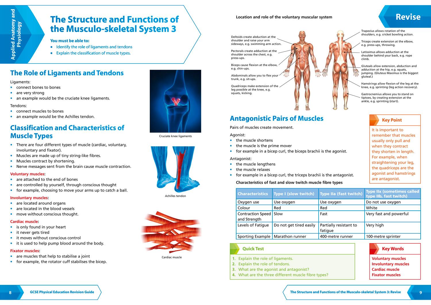 Bild: 9780008166281 | GCSE 9-1 Physical Education All-in-One Complete Revision and Practice