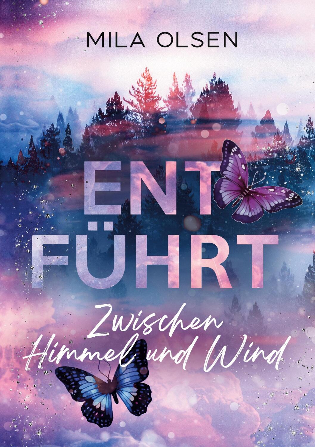 Cover: 9783989354579 | Entführt - Zwischen Himmel und Wind (Entführt: Under Northern...