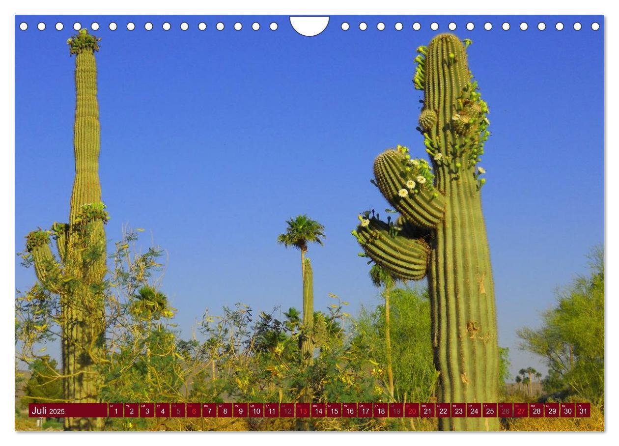 Bild: 9783435741335 | Arizona ¿ Impressionen (Wandkalender 2025 DIN A4 quer), CALVENDO...