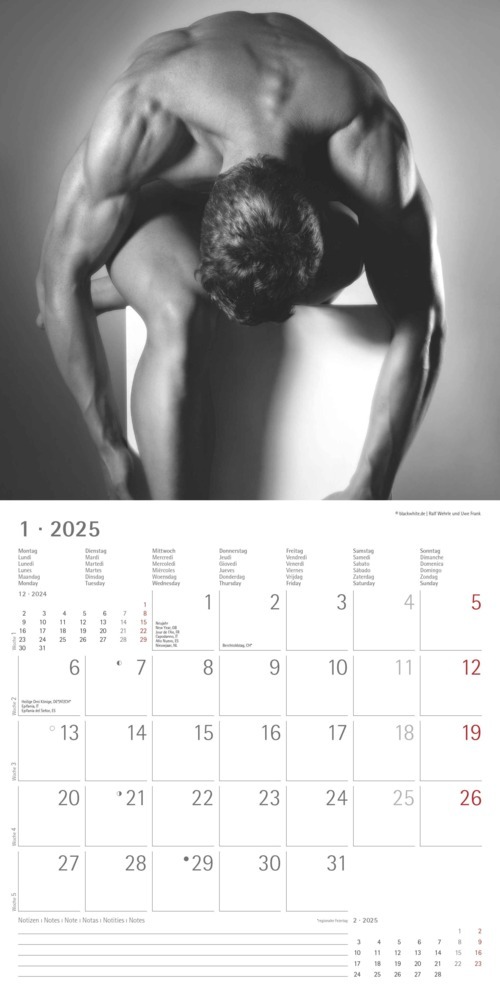 Bild: 4251732343095 | Alpha Edition - Masculine 2025 Broschürenkalender, 30x30cm,...