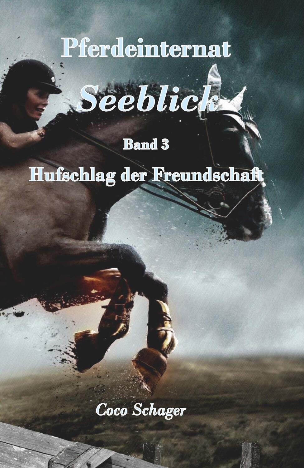 Cover: 9783991654605 | Pferdeinternat Seeblick Band 3 | Hufschlag der Freundschaft | Schager