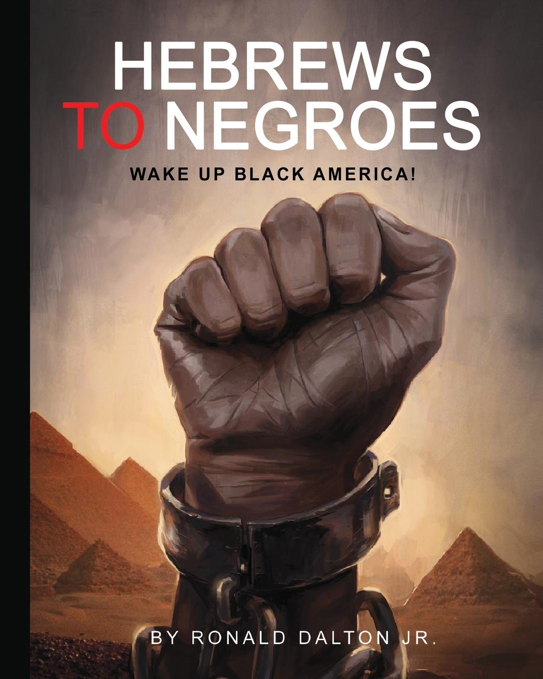 Cover: 9780986237959 | HEBREWS TO NEGROES | WAKE UP BLACK AMERICA! | Ronald Dalton Jr. | Buch