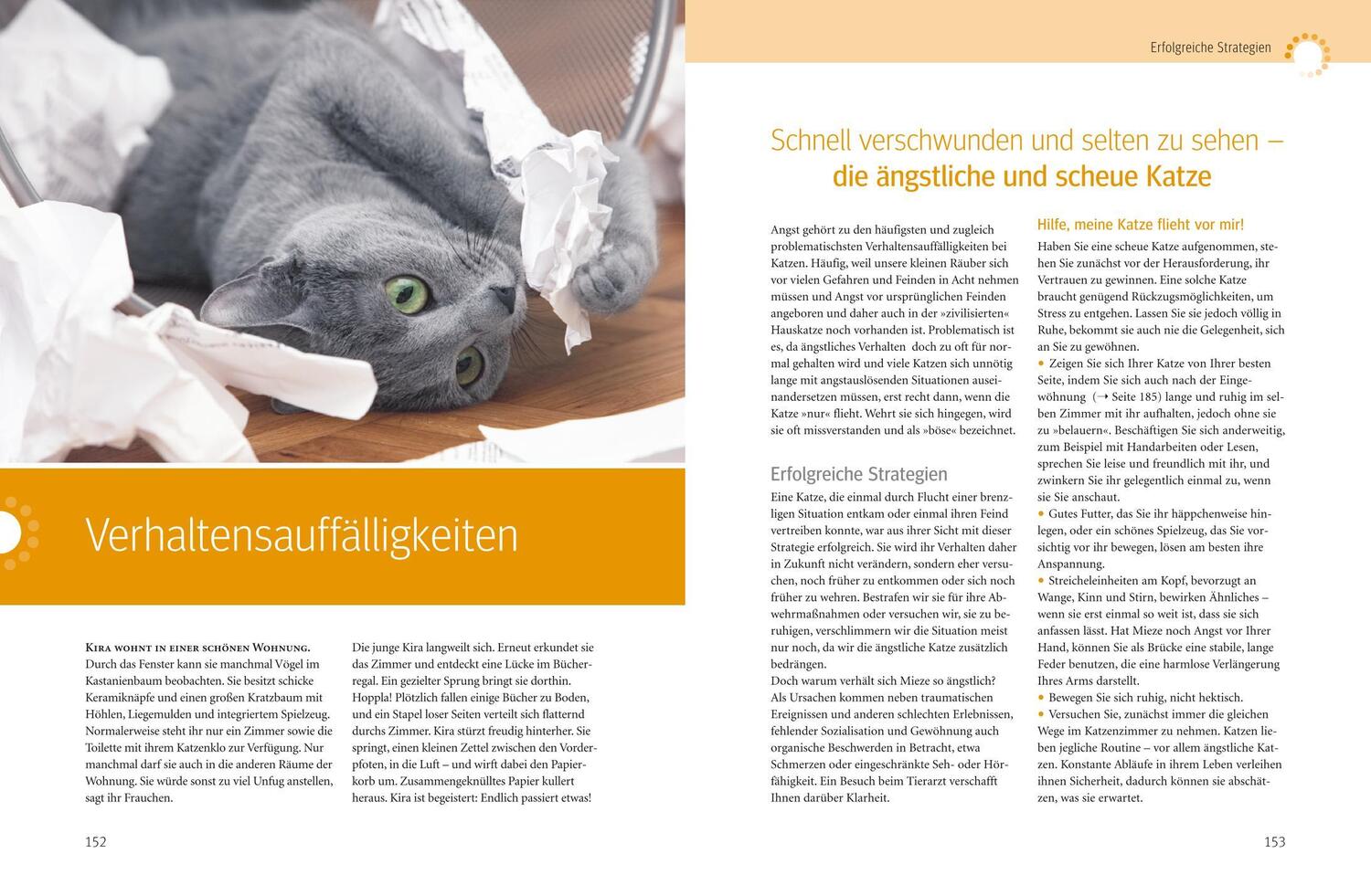 Bild: 9783833839450 | Was Katzen wirklich wollen | Mircea Pfleiderer (u. a.) | Buch | 208 S.