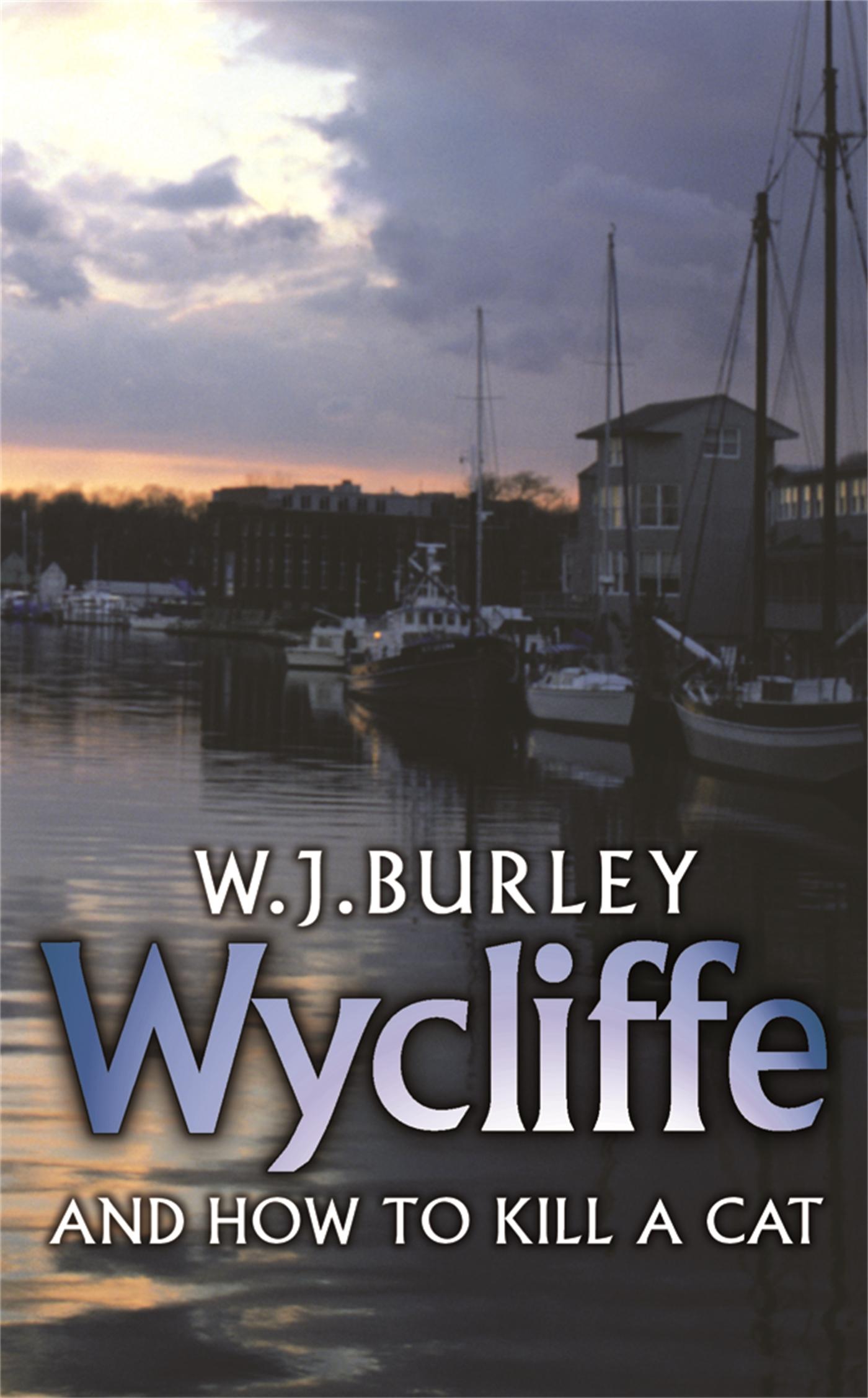 Cover: 9780752880822 | Wycliffe and How to Kill A Cat | W. J. Burley | Taschenbuch | Englisch