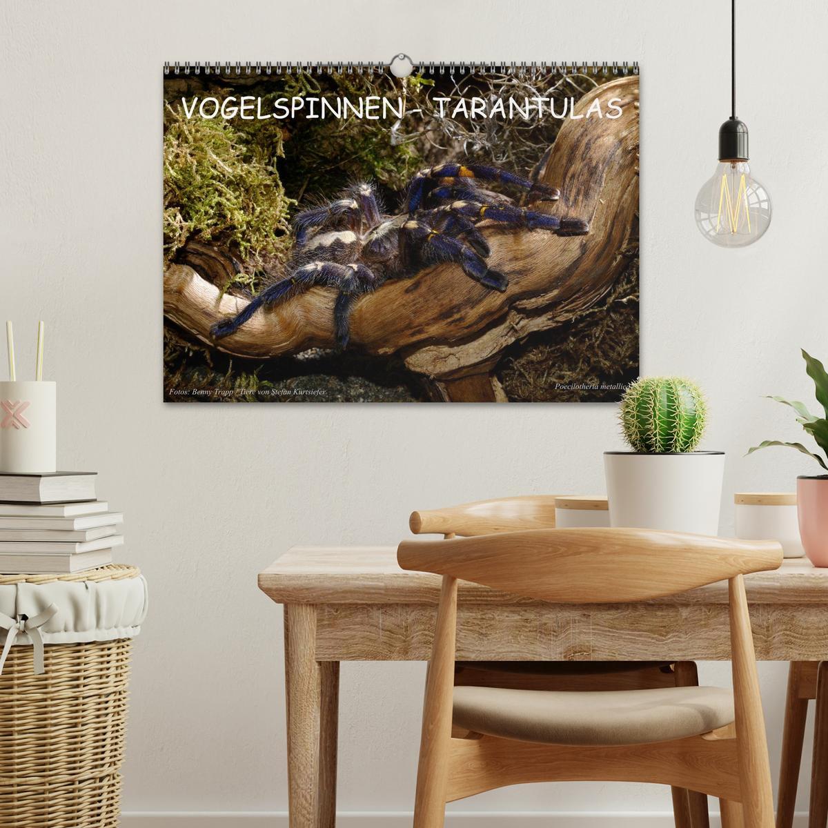 Bild: 9783435775866 | Vogelspinnen - Tarantulas (Wandkalender 2025 DIN A3 quer), CALVENDO...