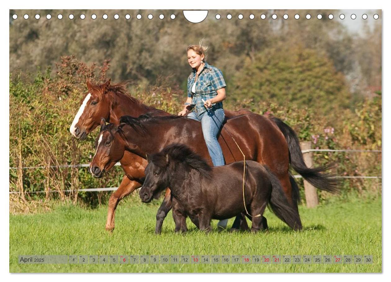 Bild: 9783435594160 | Natural Horsemanship - Partnerschaft mit Pferden (Wandkalender 2025...