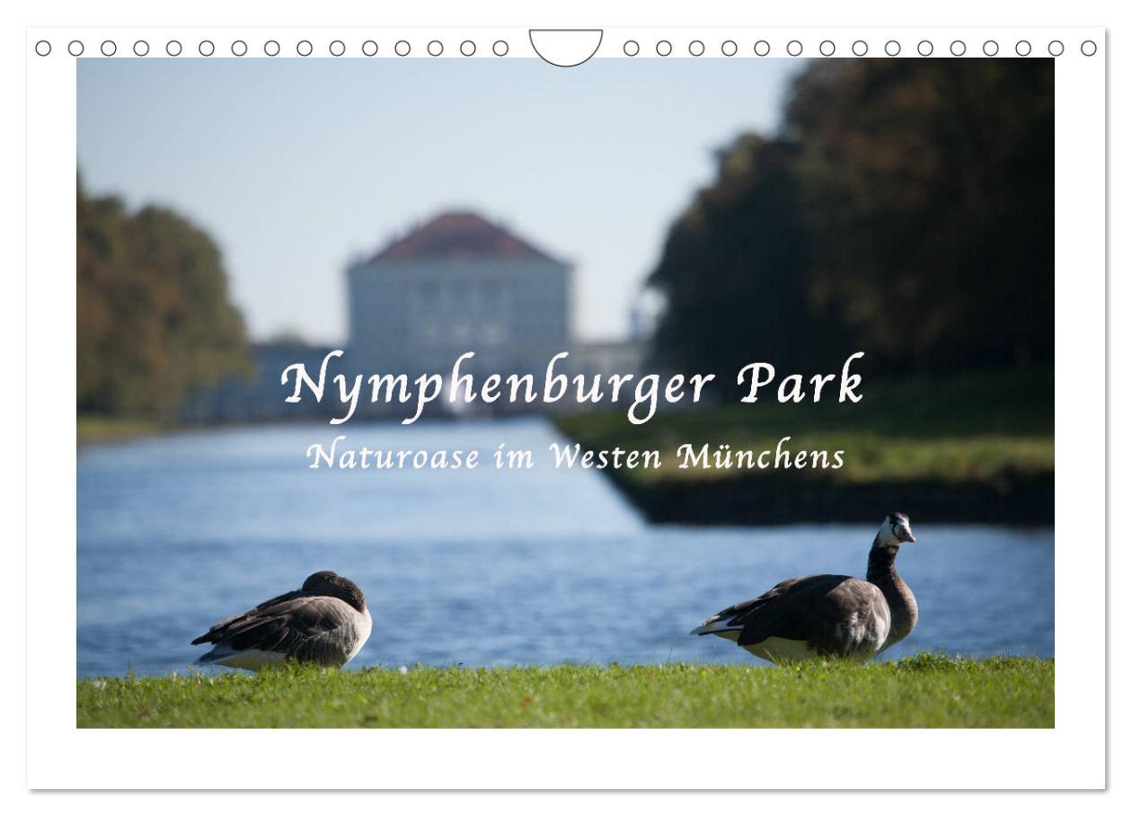 Cover: 9783435377282 | Nymphenburger Park (Wandkalender 2025 DIN A4 quer), CALVENDO...