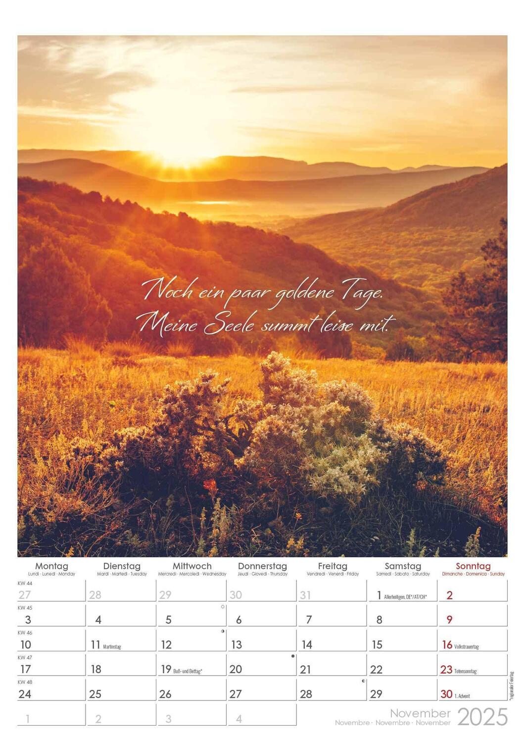 Bild: 4251732343491 | Auszeit für die Seele 2025 - Bildkalender A3 (29,7x42 cm) -...