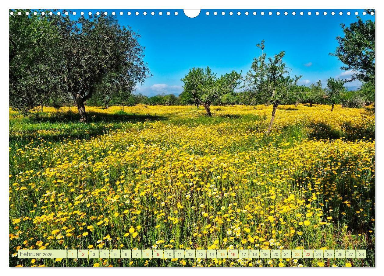 Bild: 9783435473502 | Blumenwiesen ¿ ein blütenzauberhaftes Jahr (Wandkalender 2025 DIN...