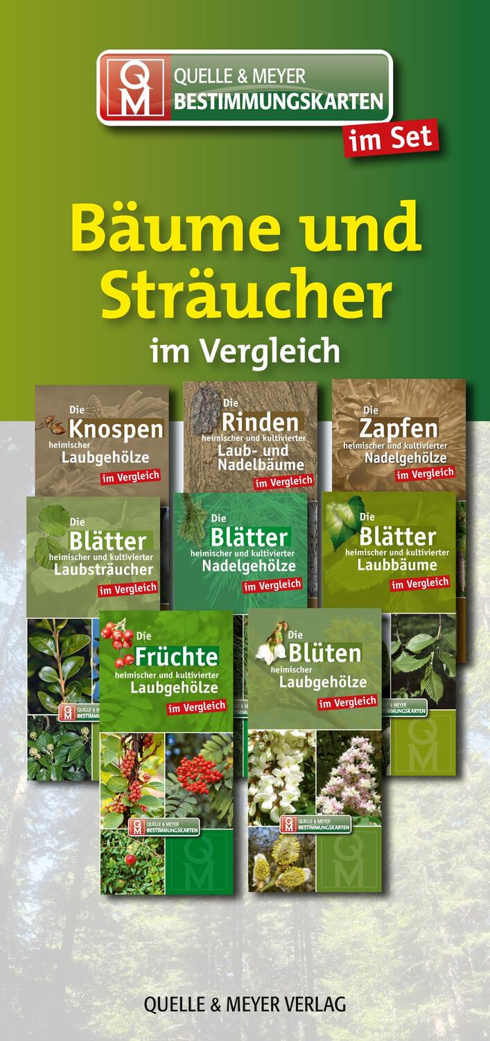 Cover: 9783494019819 | Bestimmungskarten-Set "Bäume und Sträucher" | Quelle &amp; Meyer Verlag