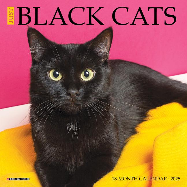 Cover: 9781549245671 | Just Black Cats 2025 7 X 7 Mini Wall Calendar | Willow Creek Press