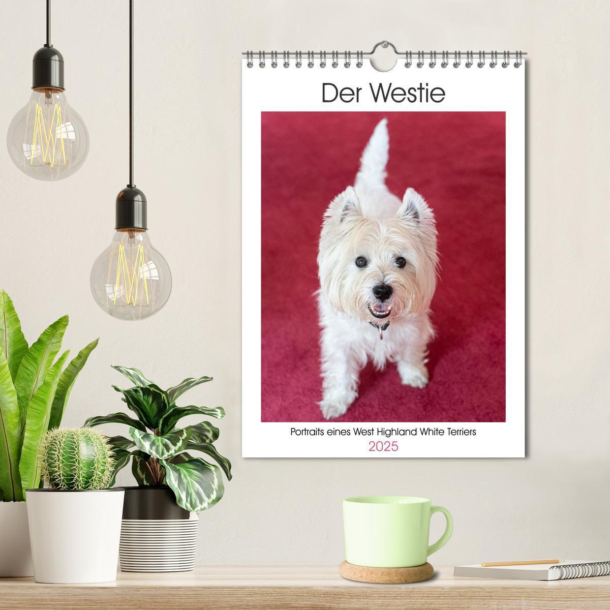 Bild: 9783383796715 | Der Westie - Portrait eines West Highland White Terriers...