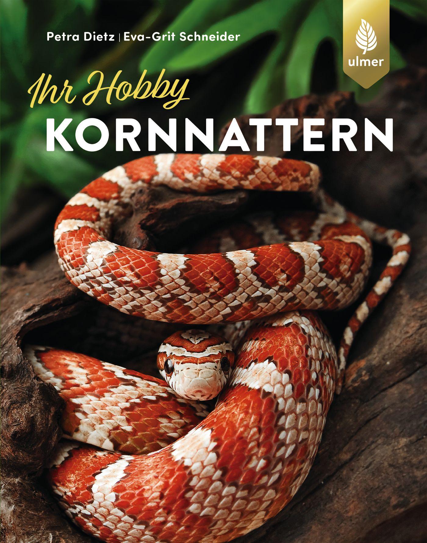 Cover: 9783818600563 | Kornnattern | Petra Dietz (u. a.) | Taschenbuch | 88 S. | Deutsch