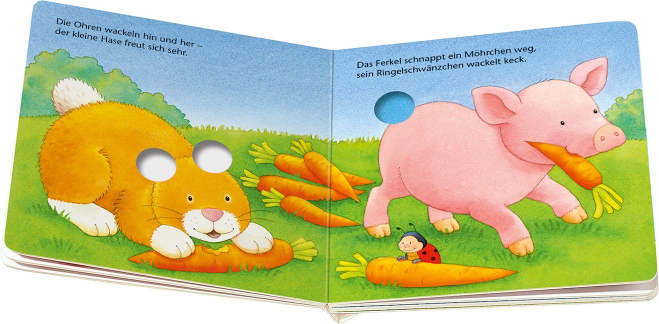 Bild: 9783473317004 | ministeps: Lustige Kribbel-Krabbel Tiere | Sandra Grimm | Buch | 16 S.