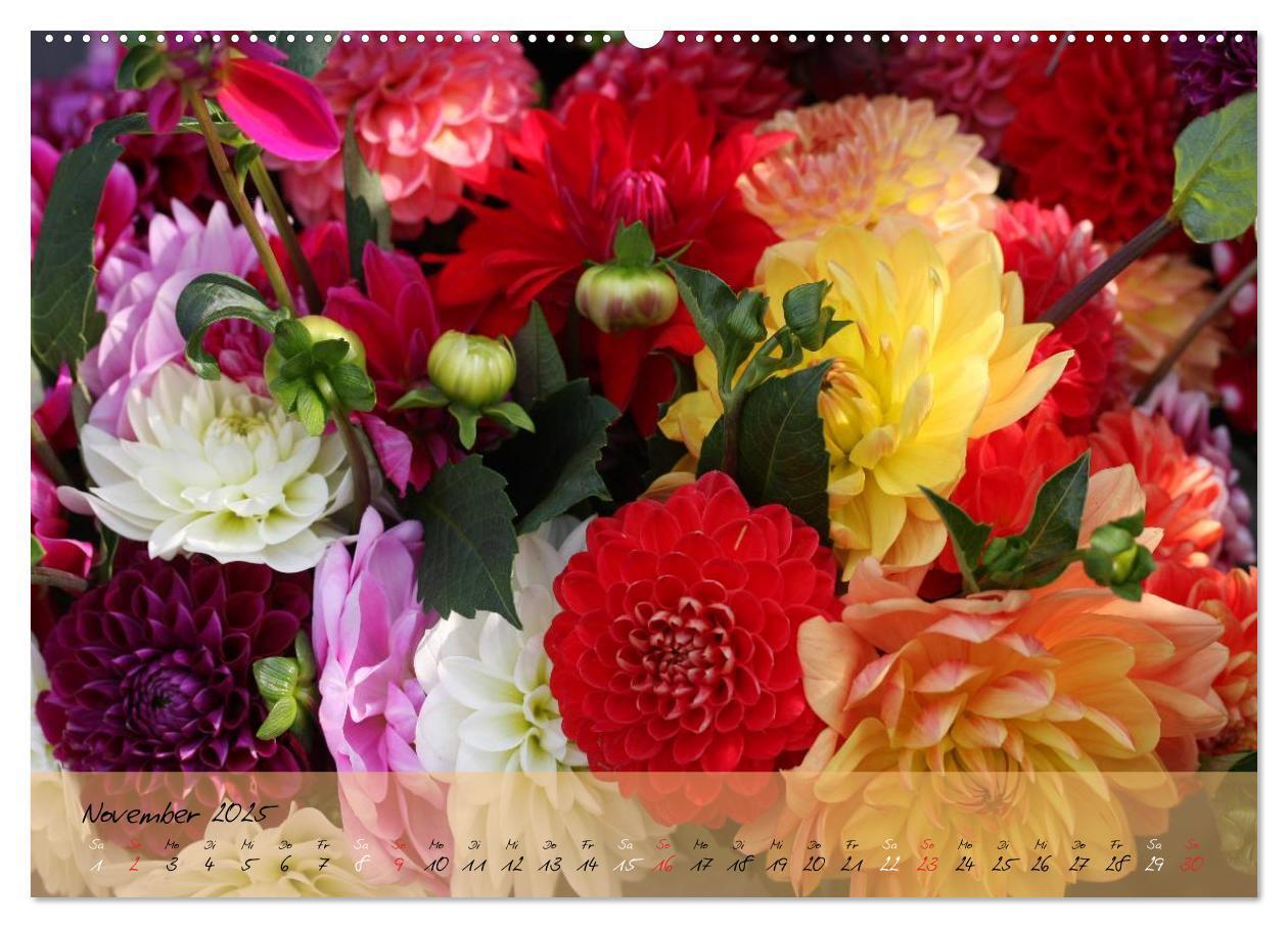 Bild: 9783435619177 | Blüten dicht an dicht (Wandkalender 2025 DIN A2 quer), CALVENDO...