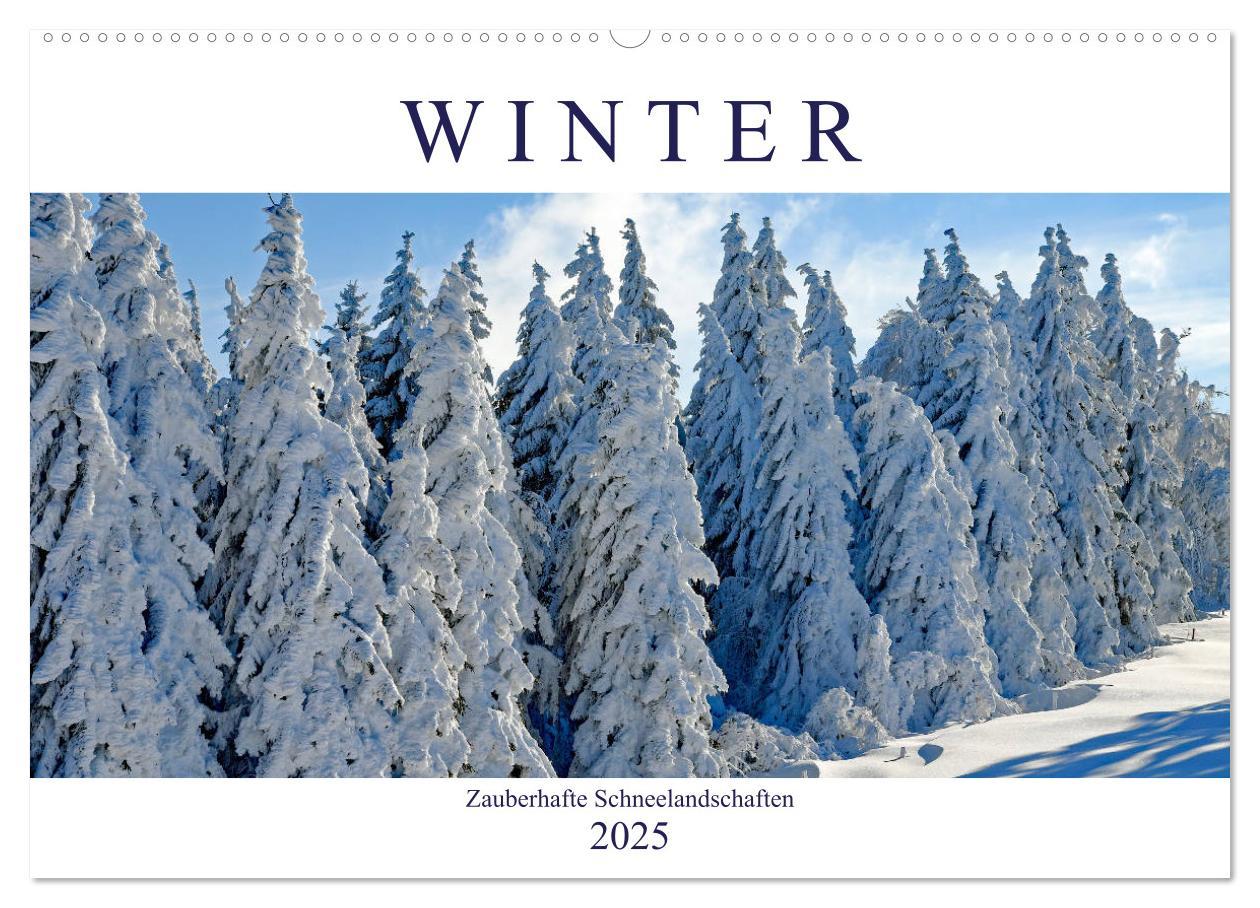 Cover: 9783435316861 | Winter. Zauberhafte Schneelandschaften (Wandkalender 2025 DIN A2...