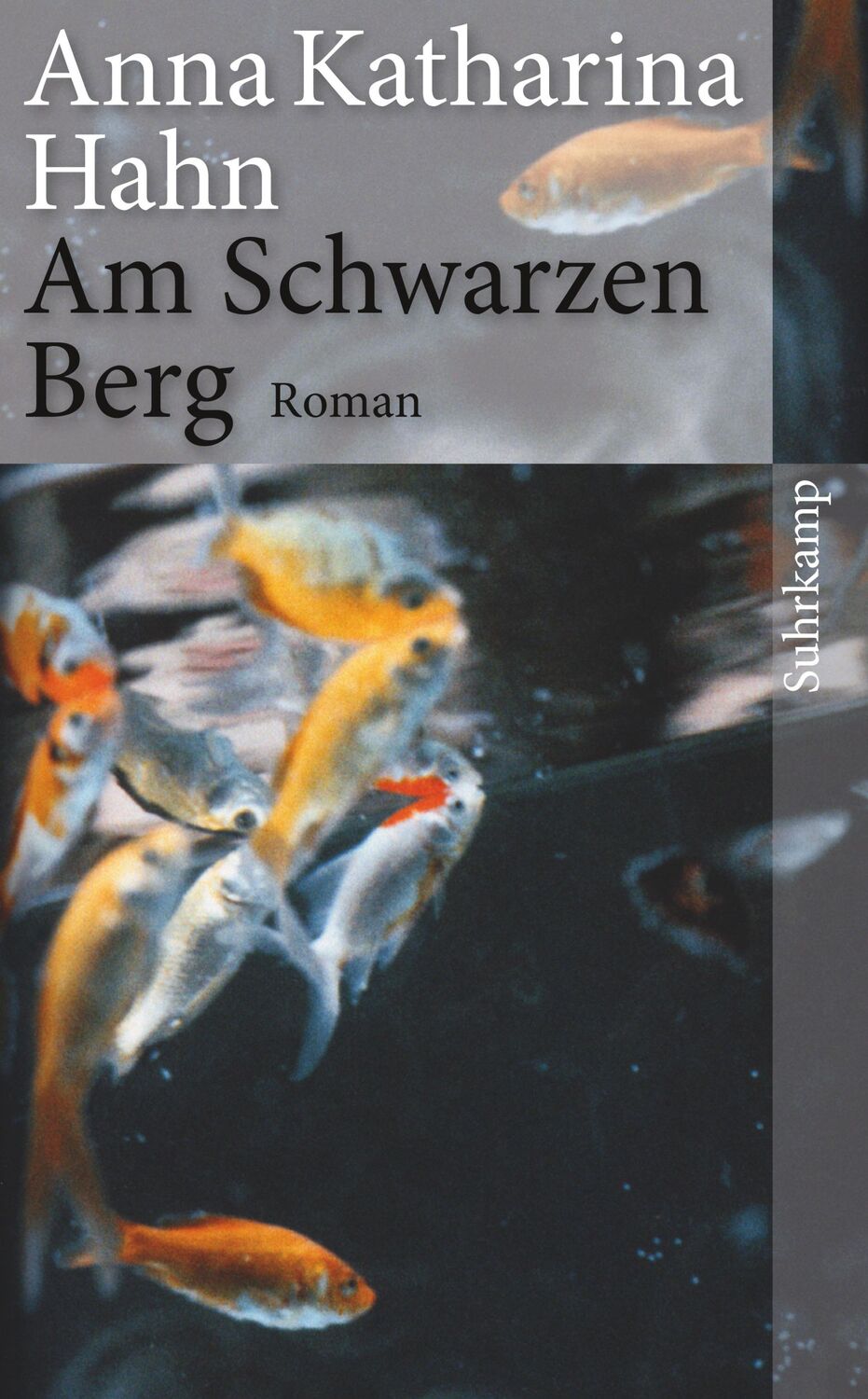 Cover: 9783518464229 | Am Schwarzen Berg | Anna Katharina Hahn | Taschenbuch | 236 S. | 2013