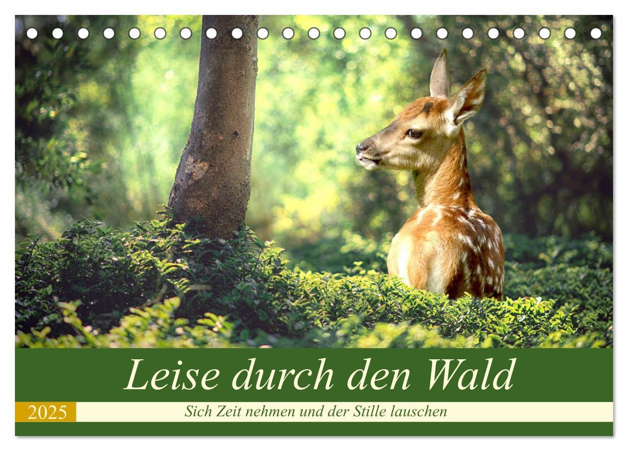 Cover: 9783435174355 | Leise durch den Wald. Sich Zeit nehmen und der Stille lauschen...