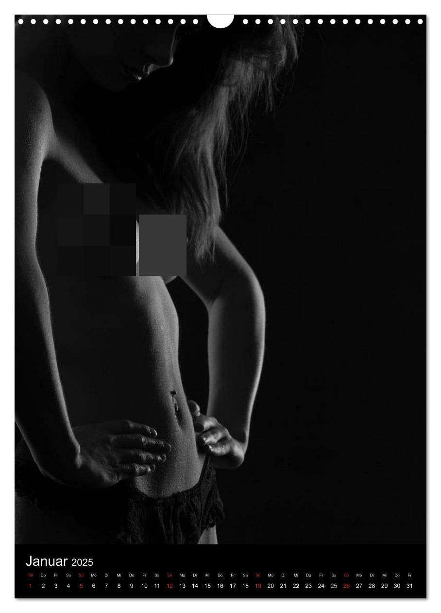 Bild: 9783457080955 | Erotische Silhouetten / CH-Version (Wandkalender 2025 DIN A3 hoch),...