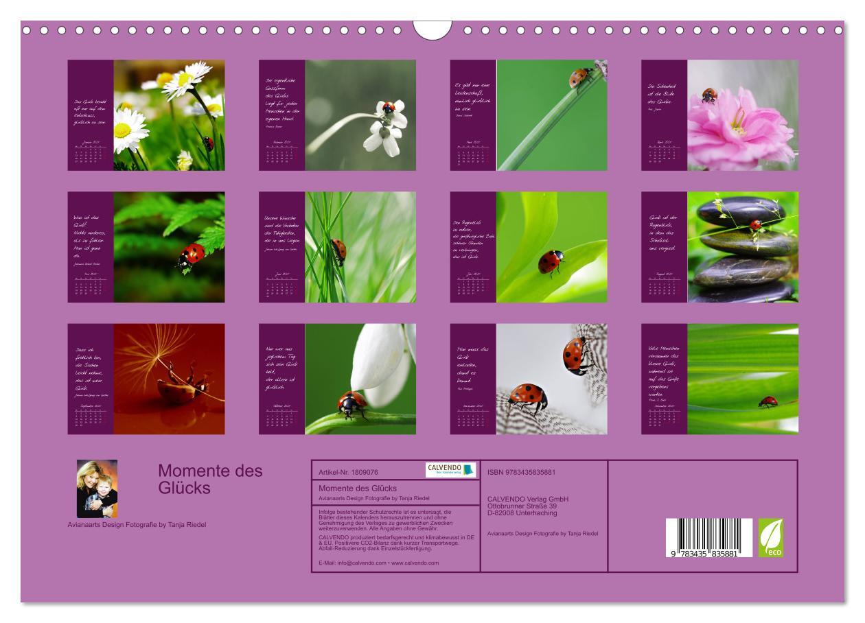 Bild: 9783435835881 | Momente des Glücks (Wandkalender 2025 DIN A3 quer), CALVENDO...