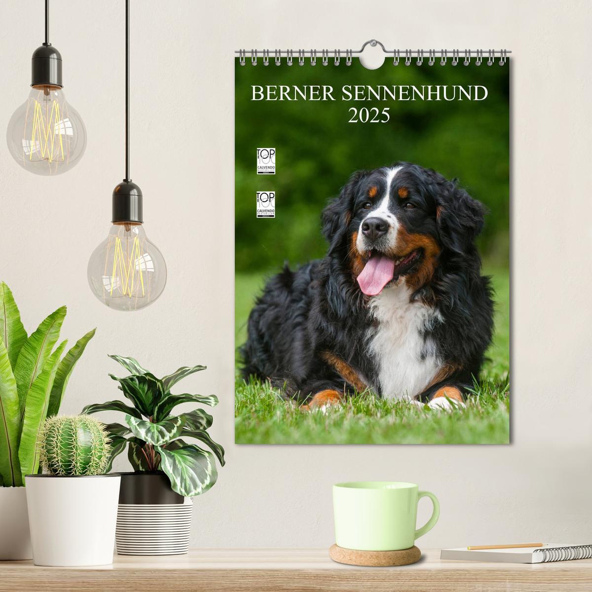 Bild: 9783457069394 | Berner Sennenhund 2025 (Wandkalender 2025 DIN A4 hoch), CALVENDO...