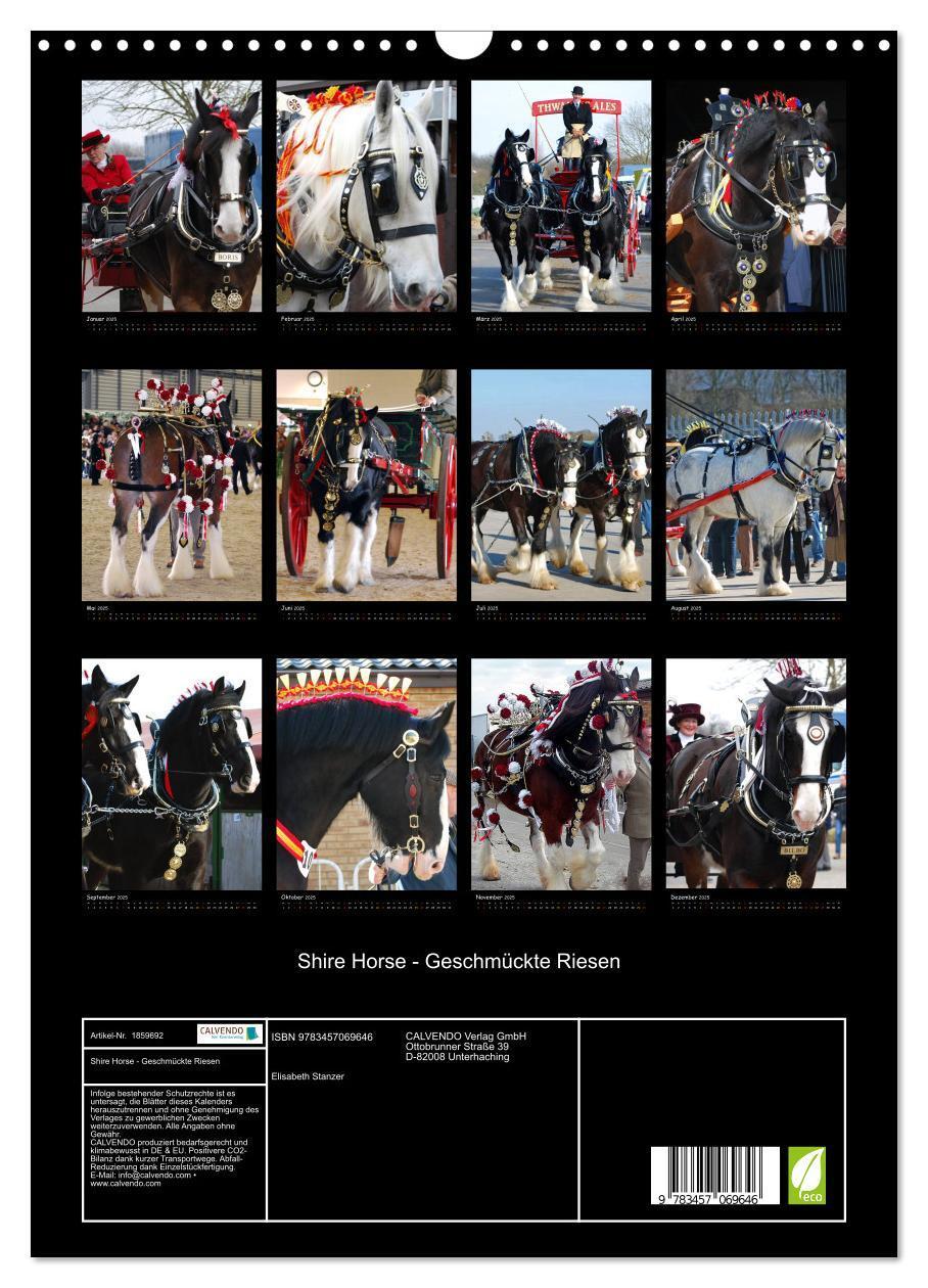 Bild: 9783457069646 | Shire Horse - Geschmückte Riesen (Wandkalender 2025 DIN A3 hoch),...