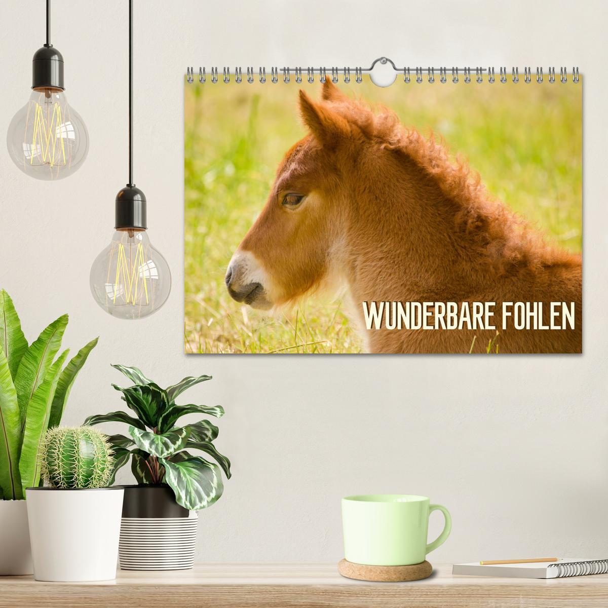 Bild: 9783435215553 | Wunderbare Fohlen (Wandkalender 2025 DIN A4 quer), CALVENDO...