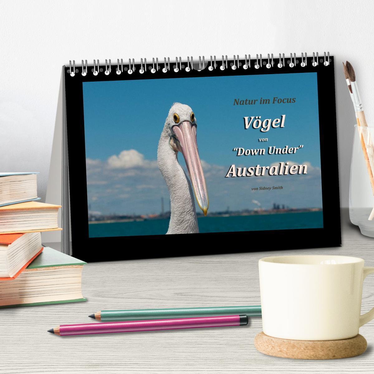 Bild: 9783435707256 | Vögel von "Down Under" Australien (Tischkalender 2025 DIN A5 quer),...