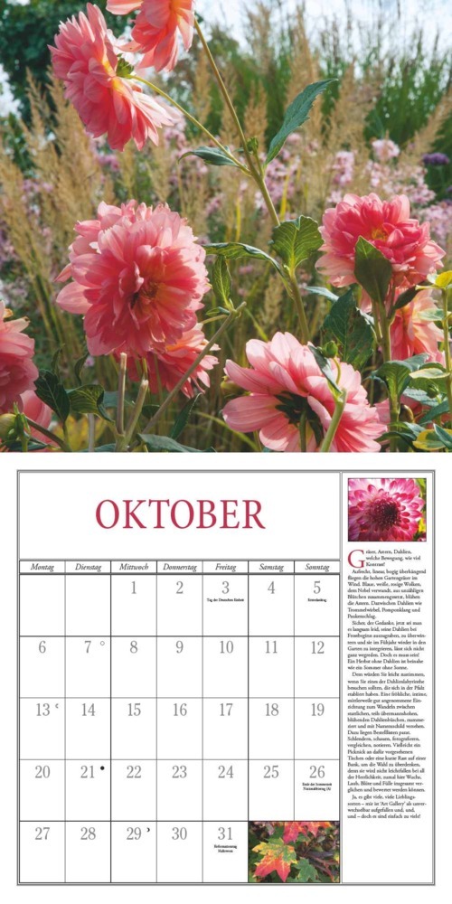 Bild: 4250809652825 | DUMONT - Freude im Garten 2025 Broschürenkalender 2025, 30x30cm,...