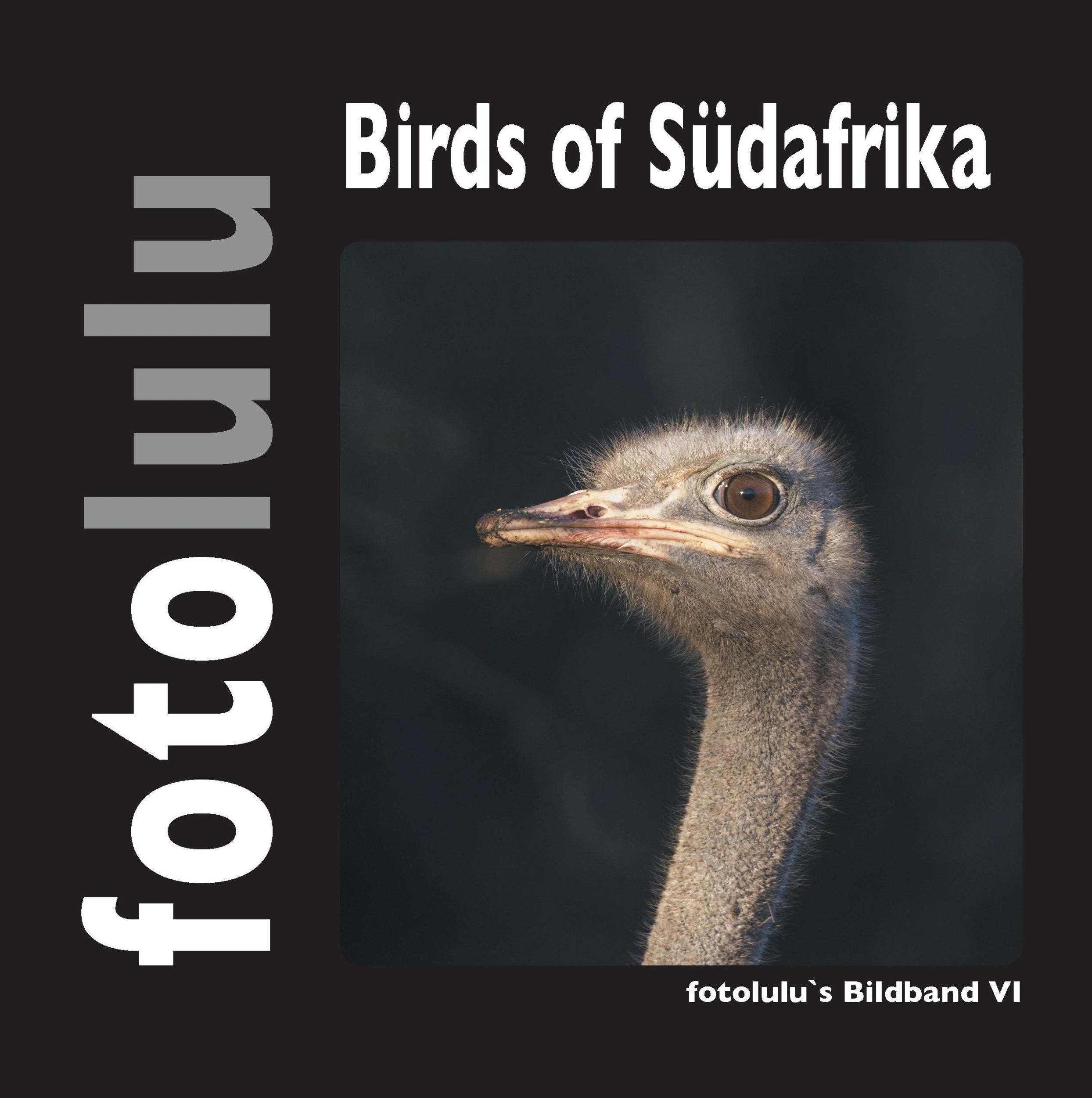 Cover: 9783739213309 | Birds of Südafrika | fotolulus Bildband VI | Fotolulu | Buch | 84 S.