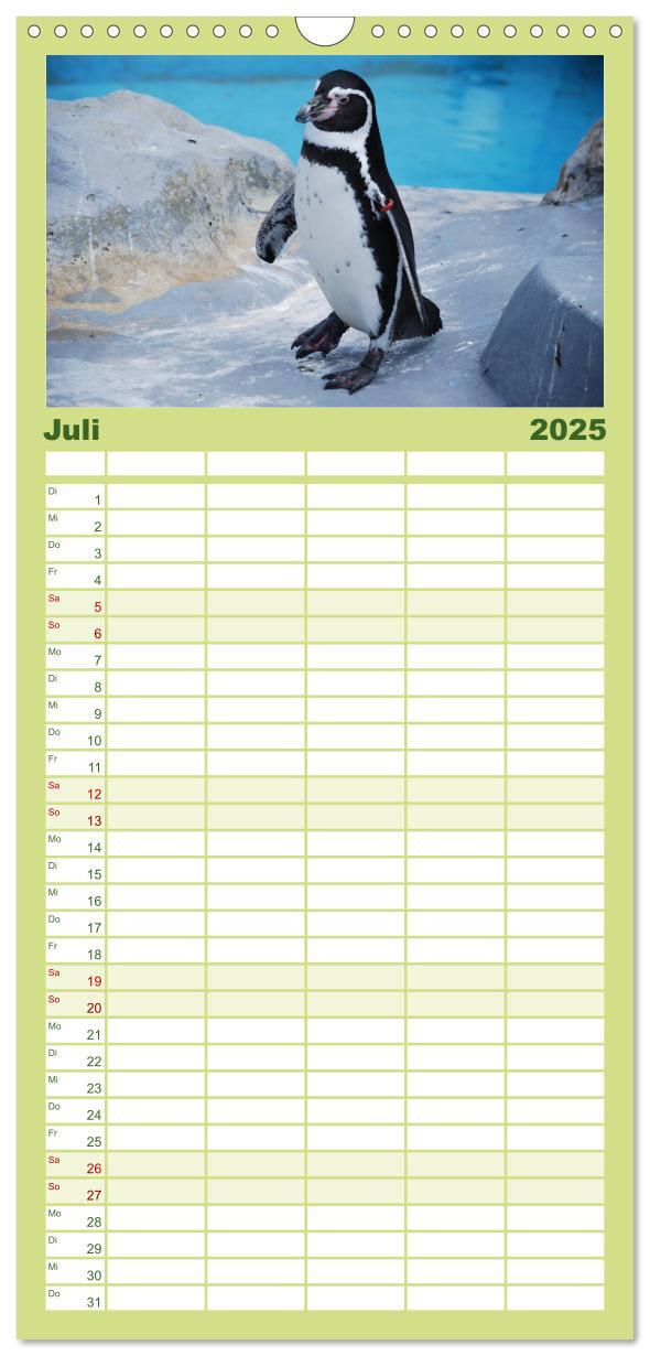 Bild: 9783457120293 | Familienplaner 2025 - Pinguine 2025 mit 5 Spalten (Wandkalender, 21...