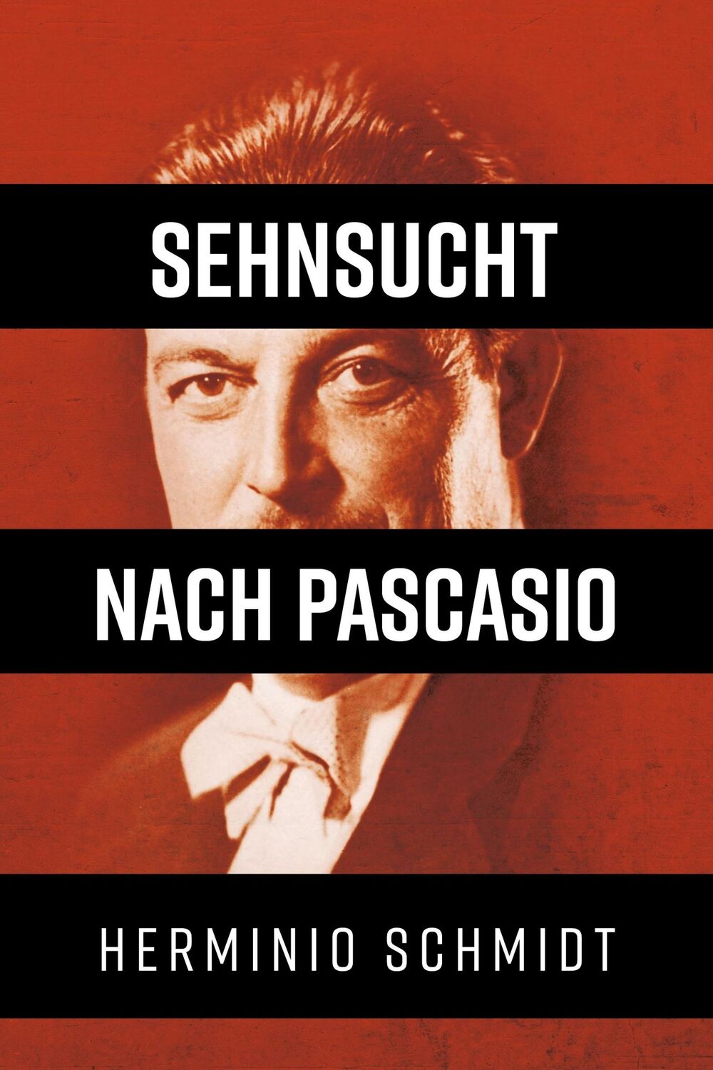 Cover: 9783347317789 | Sehnsucht nach Pascasio | Herminio Schmidt | Taschenbuch | Paperback