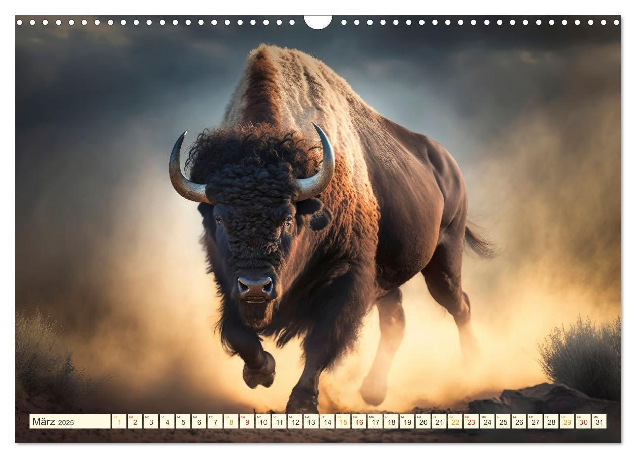 Bild: 9783383911859 | Amerikanischer Bison (Wandkalender 2025 DIN A3 quer), CALVENDO...