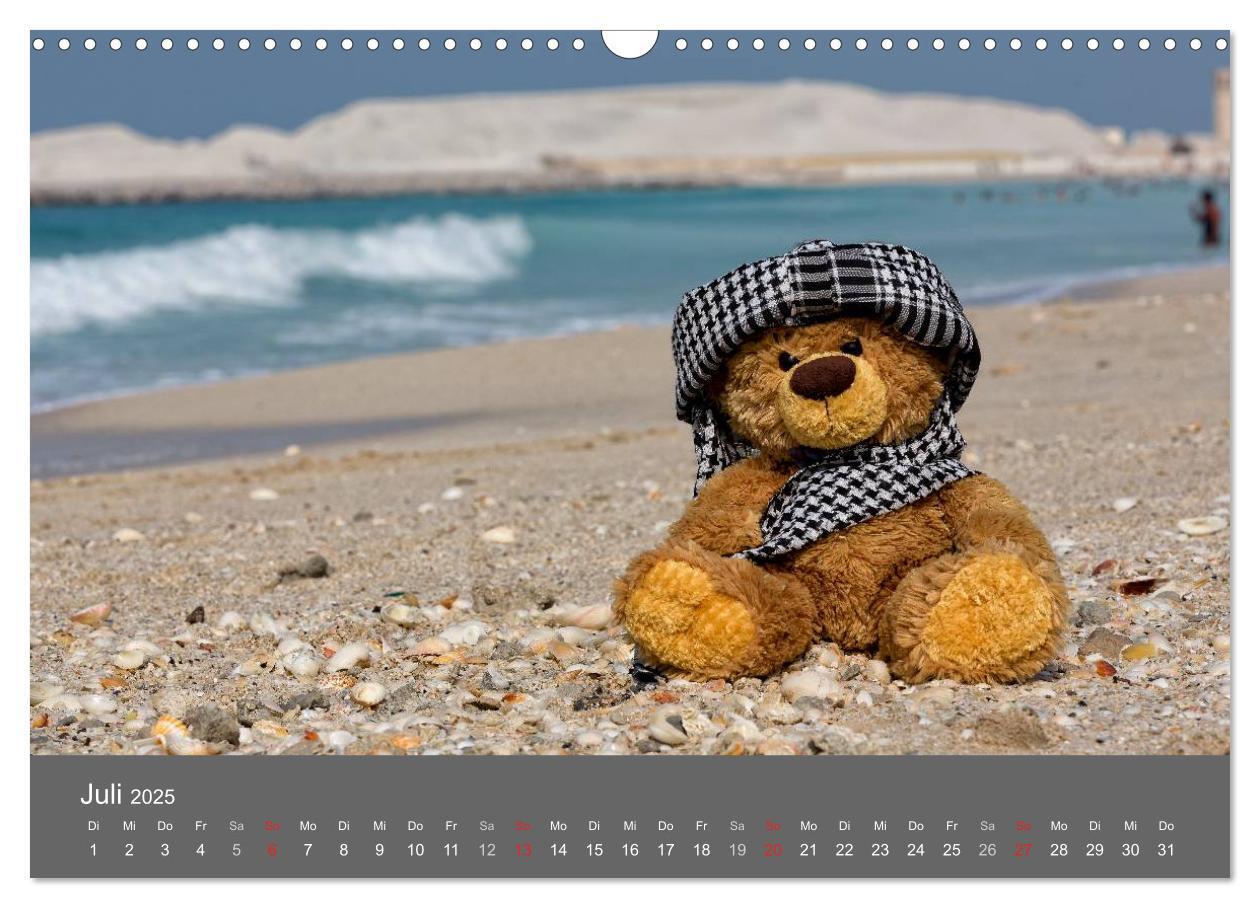 Bild: 9783435503063 | Travelling Teddy 2025 (Wandkalender 2025 DIN A3 quer), CALVENDO...