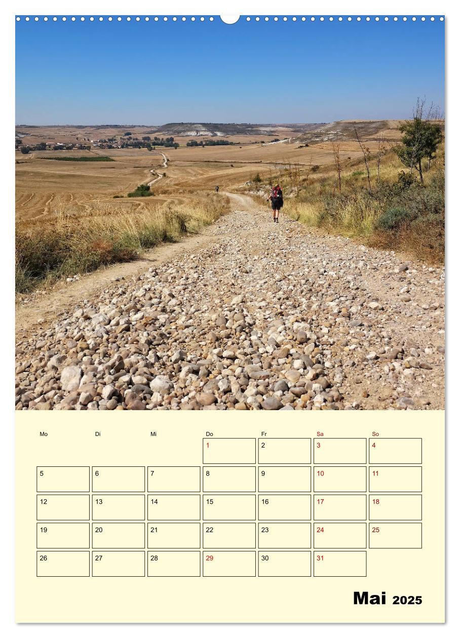 Bild: 9783435971572 | Buen Camino - Mein Jakobsweg - Camino Francés (Wandkalender 2025...