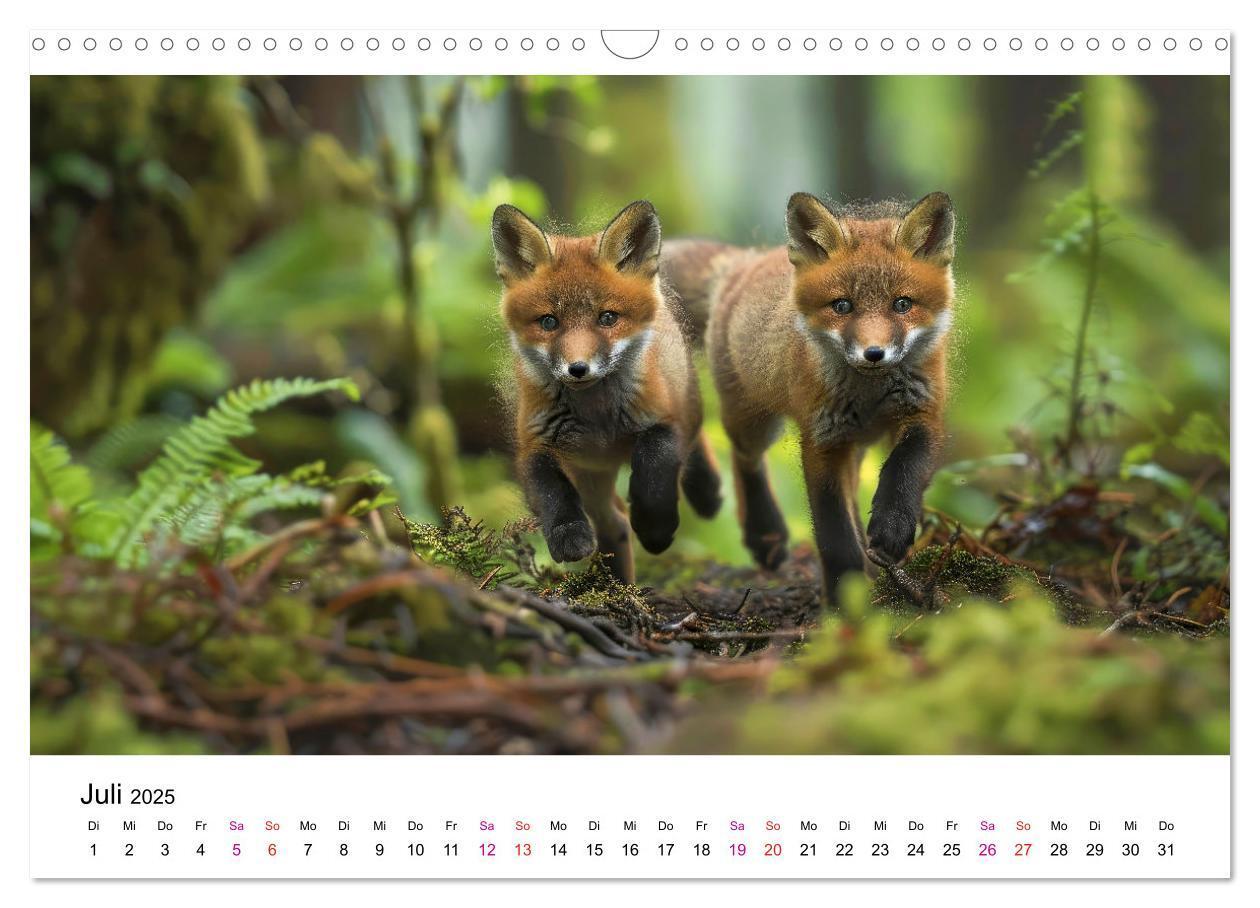 Bild: 9783383815157 | Fuchs - schöne Momente (Wandkalender 2025 DIN A3 quer), CALVENDO...