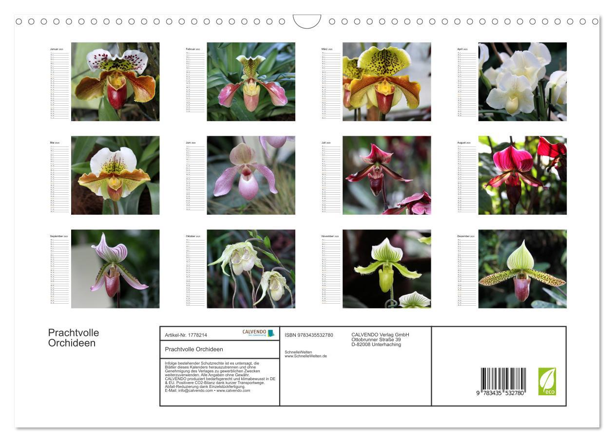 Bild: 9783435532780 | Prachtvolle Orchideen (Wandkalender 2025 DIN A3 quer), CALVENDO...