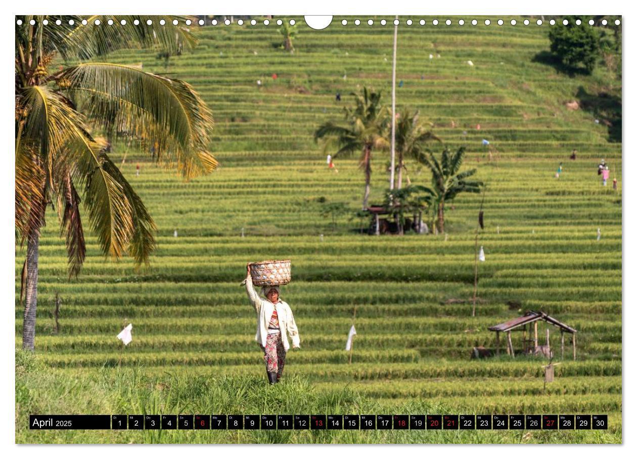 Bild: 9783435495184 | Bali - Indonesien (Wandkalender 2025 DIN A3 quer), CALVENDO...