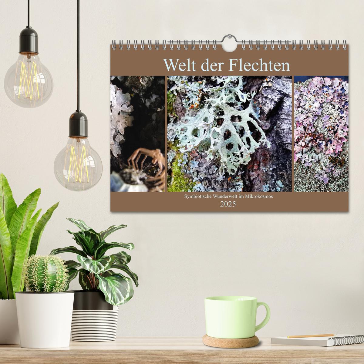 Bild: 9783435130856 | Welt der Flechten (Wandkalender 2025 DIN A4 quer), CALVENDO...