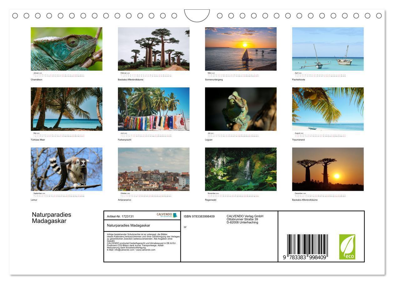 Bild: 9783383998409 | Naturparadies Madagaskar (Wandkalender 2025 DIN A4 quer), CALVENDO...