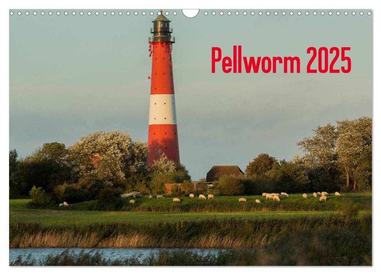 Cover: 9783435777761 | Pellworm 2025 (Wandkalender 2025 DIN A3 quer), CALVENDO Monatskalender