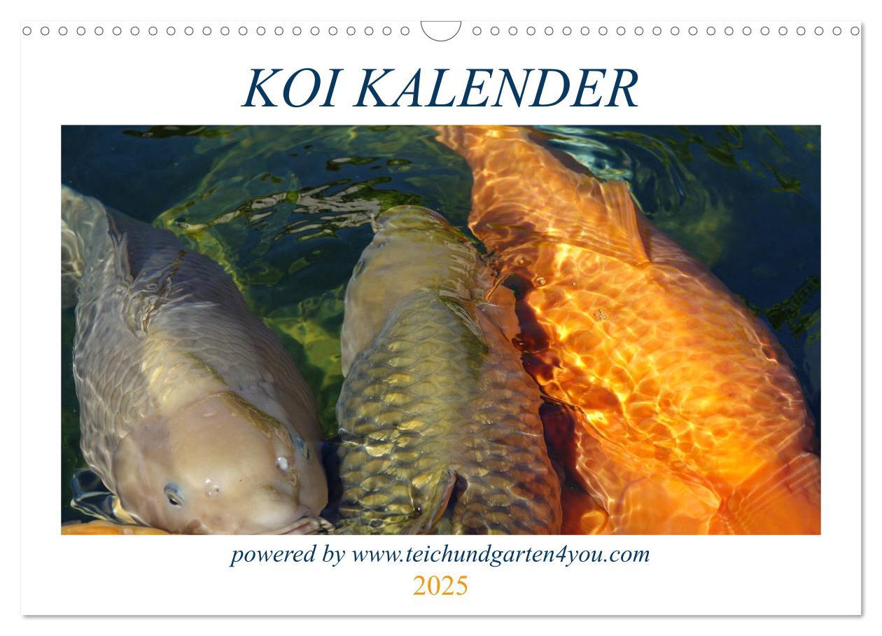 Cover: 9783435177509 | Koikichi Kalender 2025 (Wandkalender 2025 DIN A3 quer), CALVENDO...