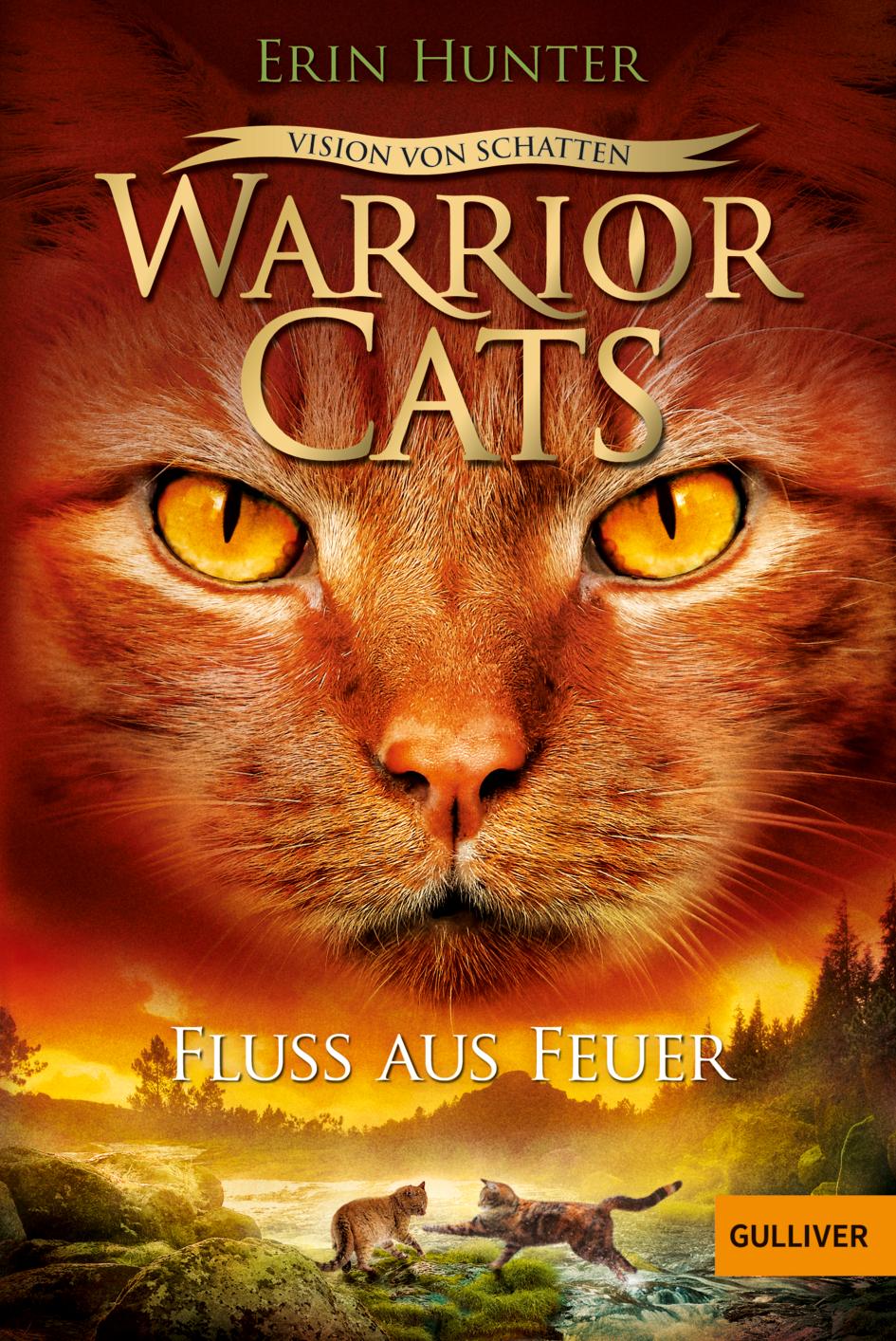 Cover: 9783407812339 | Warrior Cats - Vision von Schatten. Fluss aus Feuer | Erin Hunter