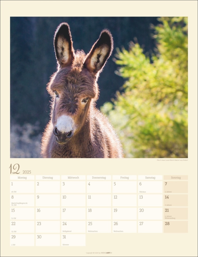 Bild: 9783839900451 | Esel Kalender 2025 | Marie-Luce Hubert (u. a.) | Kalender | 14 S.