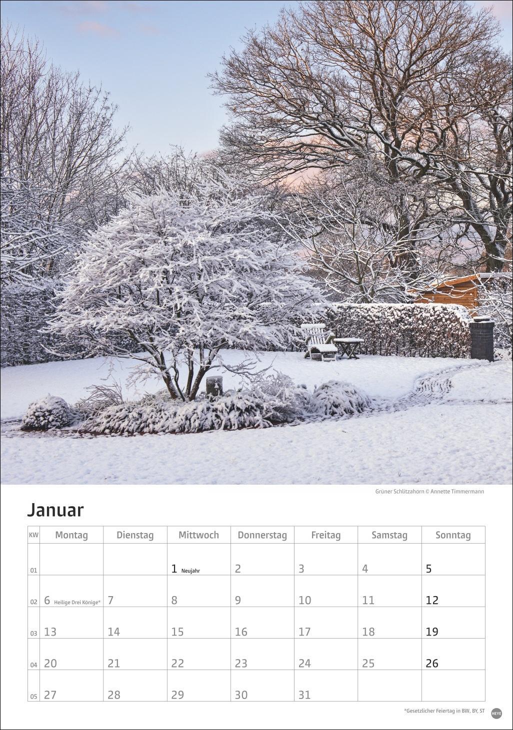 Bild: 9783756405572 | Gartenzauber Kalender 2025 | Heye | Kalender | Spiralbindung | 13 S.