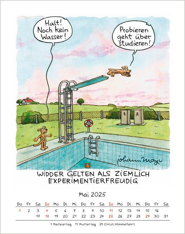 Bild: 9783731876625 | Widder 2025 | Verlag Korsch | Kalender | Spiralbindung | 13 S. | 2025