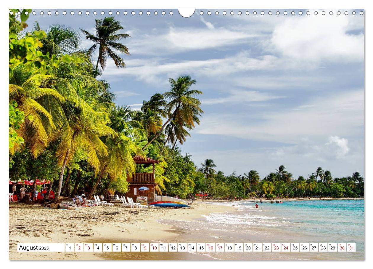 Bild: 9783435379996 | Martinique, die Traumstrände (Wandkalender 2025 DIN A3 quer),...