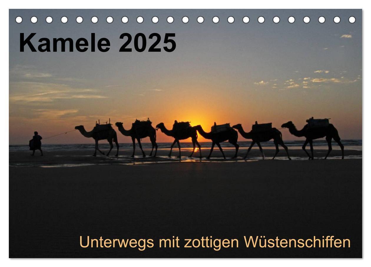 Cover: 9783435708635 | Kamele 2025 - Unterwegs mit zottigen Wüstenschiffen (Tischkalender...