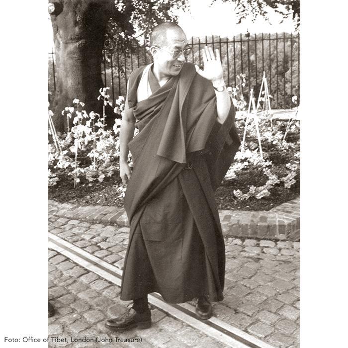 Bild: 9783458179030 | Dalai Lama | Eine illustrierte Biografie | Tenzin Geyche Tethong